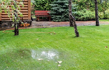 Backyard lawn damaged due to drain field failure.